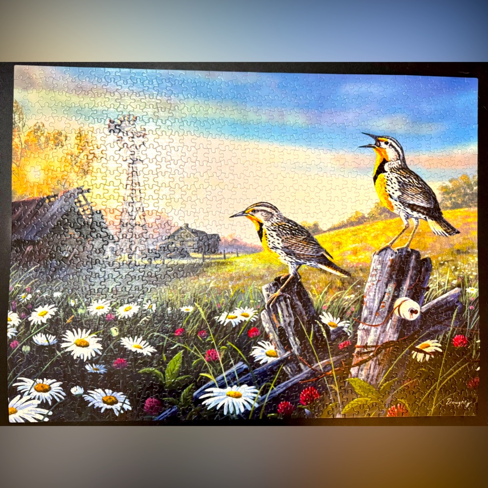 Puzzle attached to the ModPodge to decorate the wall